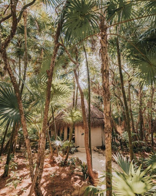 Art Village Tulum Exterior photo
